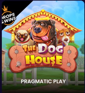 игровые автоматы и бонусы